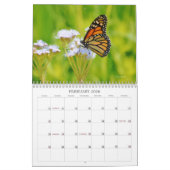 Vlinders in Natuur Kalender (Feb 2026)