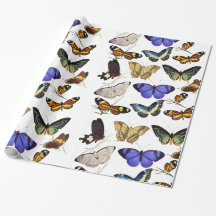 Vlinders Inpakpapier
