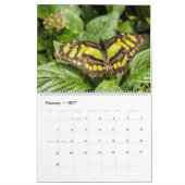 Vlinders Kalender (Feb 2027)