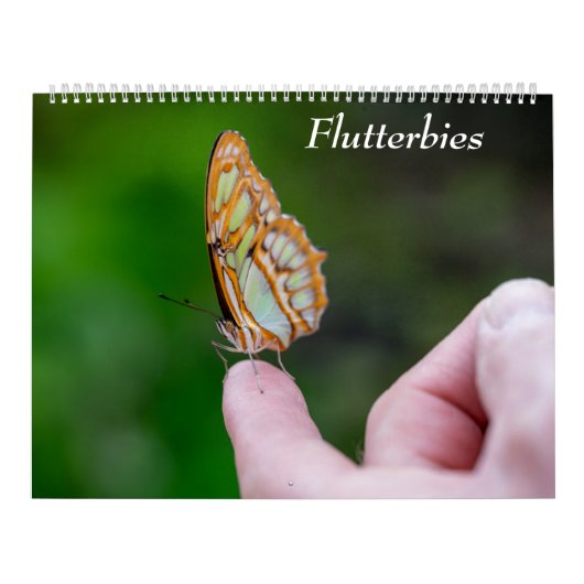 Vlinders Kalender (Hoes)
