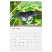 Vlinders Kalender 2027 (Mar 2027)