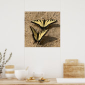 Vlinders op het strand poster (Keuken)