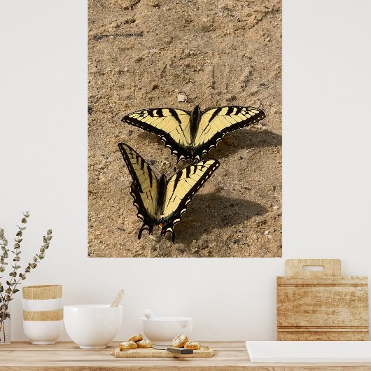 Vlinders op het strand poster (Keuken)