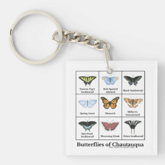 Vlinders van Chautauqua Sleutelhanger
