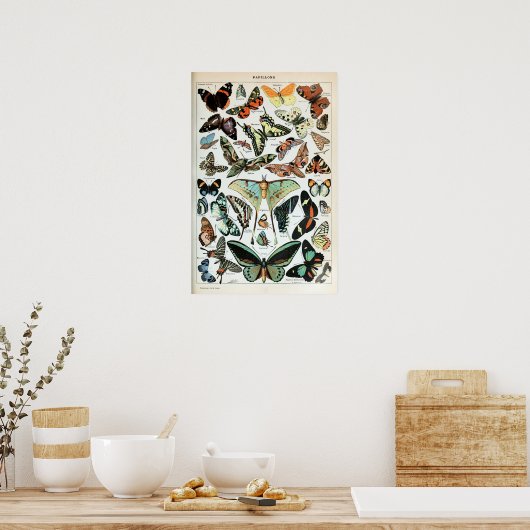  vlinders van de wereld poster (Keuken)