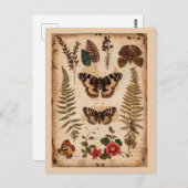 vlinders varens Natuur Journal Briefkaart (Voorkant / Achterkant)