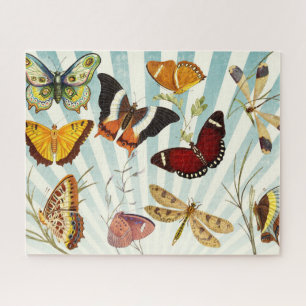 Vlinders Vlinder Legpuzzel