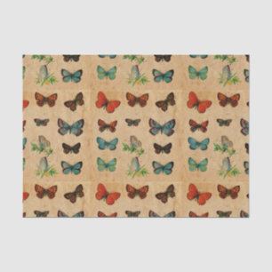  vlindersbevonden papier ontledingsmateriaal