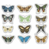  vlinderset 2 Stickers - Classic Floral (Voorkant)