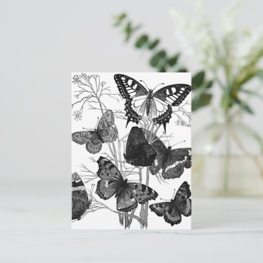 vlindervliegen afdrukken briefkaart (Staand voorkant)