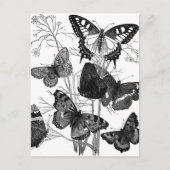 vlindervliegen afdrukken briefkaart (Voorkant)