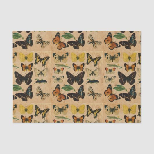 vlindervlinderontvlechting tissuepapier (Voorkant)