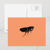 Vlo Briefkaart (Voorkant / Achterkant)