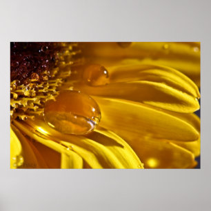 Vloeibaar goud poster