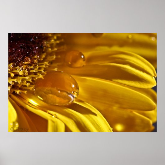 Vloeibaar goud poster (Voorkant)