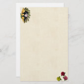 Vloeibaar papier (Voorkant / Achterkant)