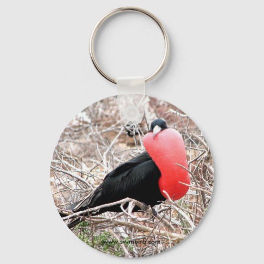 Vloeibare vogel (Fragata) in galapagos met parings Sleutelhanger (Voorkant)