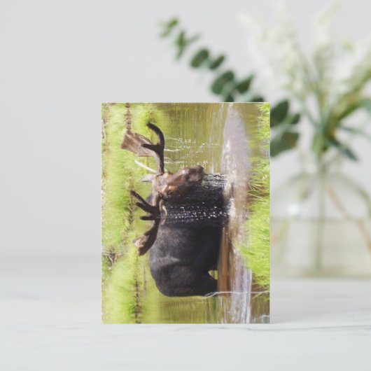 vloeiend briefkaart (Staand voorkant)