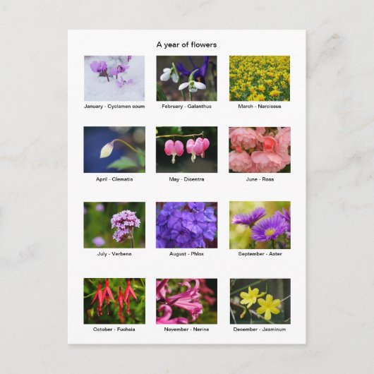 Vloeiend Briefkaart (Voorkant)