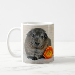 Vloeiend, Shorthair, Agouti Guinee Pig en Poppy Koffiemok