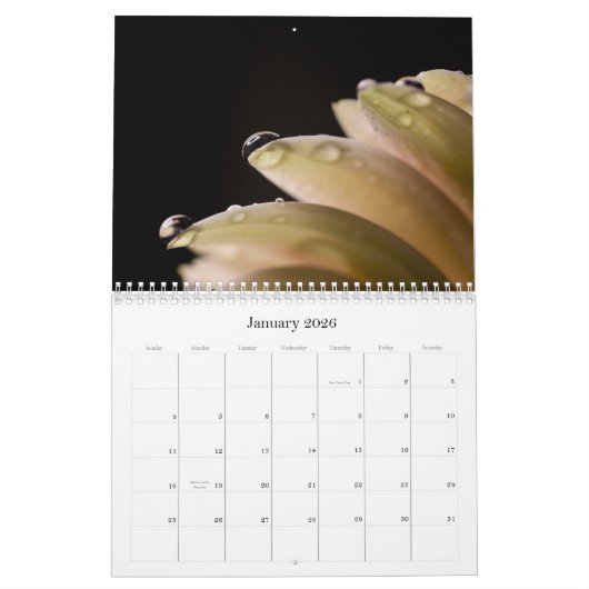 Vloeiende Sluiten reeks Kalender (Jan 2026)