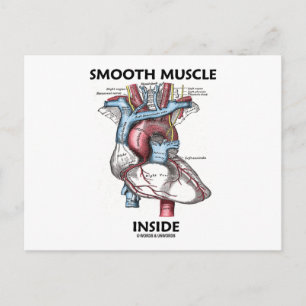 Vloeiende spieren binnen (grijs anatomiehart) briefkaart