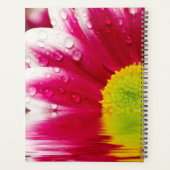 Vloer met dauw planner (Achterkant)