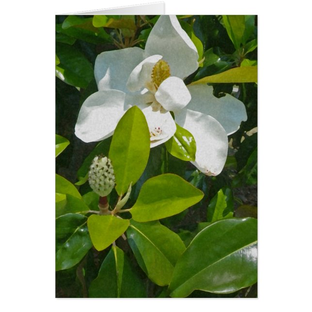 Vloer naar fruit (Voorkant)