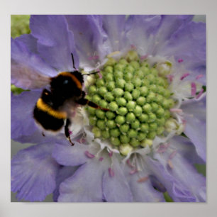 Vloer nr. 6 (detail) poster