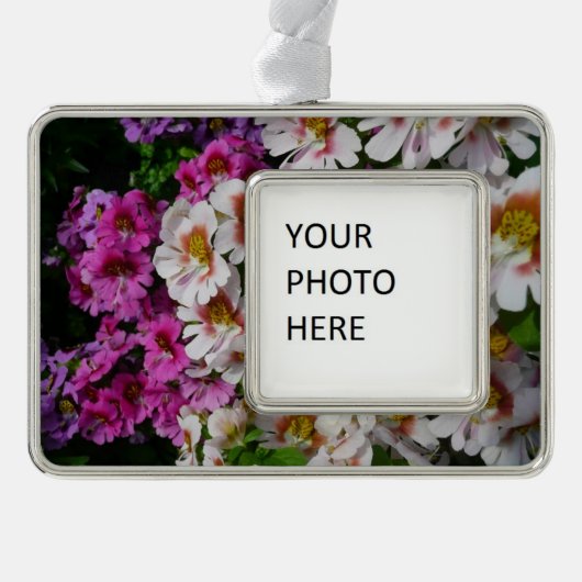 Vloerbeugels Witte roze en Paarse vlinder Verzilverd Kader Ornament (Voorkant)