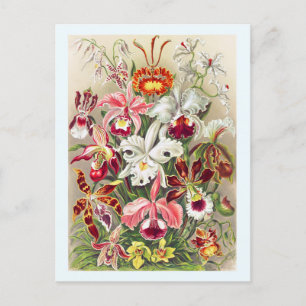 Vloerbloem met botanische  Briefkaart