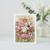 Vloerbloem met botanische  Briefkaart (Staand voorkant)