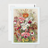 Vloerbloem met botanische  Briefkaart (Voorkant / Achterkant)