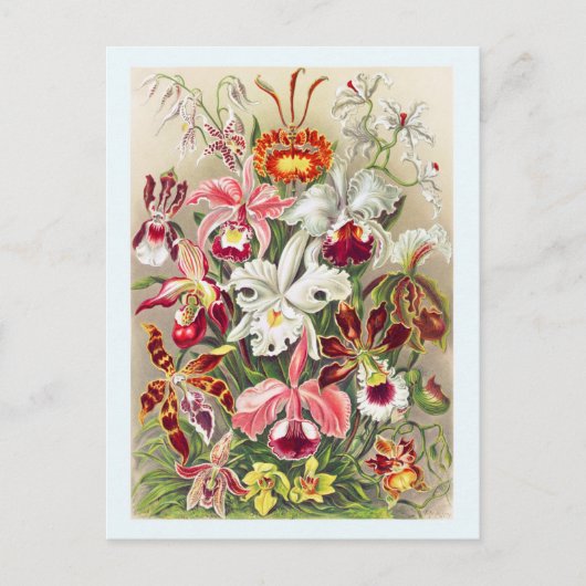 Vloerbloem met botanische  Briefkaart (Voorkant)