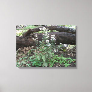 Vloerbloemen en Afdruk met rooster Canvas Afdruk