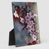 Vloerdecoratieve kersboom fotoplaat (Zijkant)