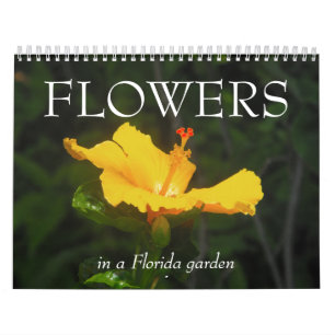 VLOEREN in een tuin van Florida... Kalender