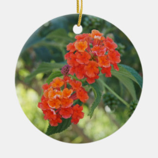 Vloerkracht en Natuur, versiering - Red Lantanas Keramisch Ornament