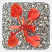 Vloerteller Vierkante Sticker (Voorkant)