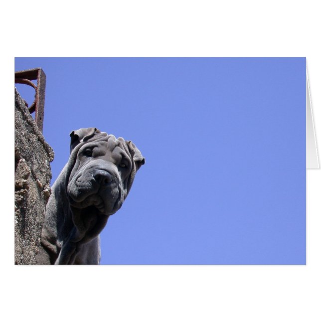 Vlooienmarkt (Voorkant Horizontaal)