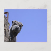 Vlooienmarkt Briefkaart (Voorkant)