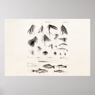  vlooienstraal 1800 poster