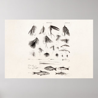vlooienstraal 1800 poster