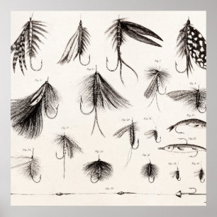  vlooienstraal 1800 poster