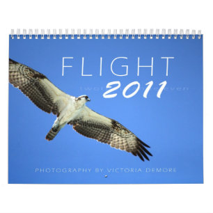 Vlucht 2011 kalender