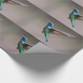 Vlucht van de kolibrie cadeaupapier (Hoek)