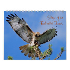 Vlucht van de Rode Hawk Kalender
