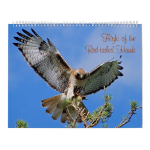 Vlucht van de Rode Hawk Kalender