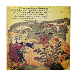 Vlucht van de Schildpad Indiase Renaissance Fabel Tegeltje
