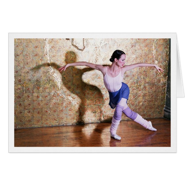 Vlucht van de Zwan 4 - met grens (Voorkant Horizontaal)